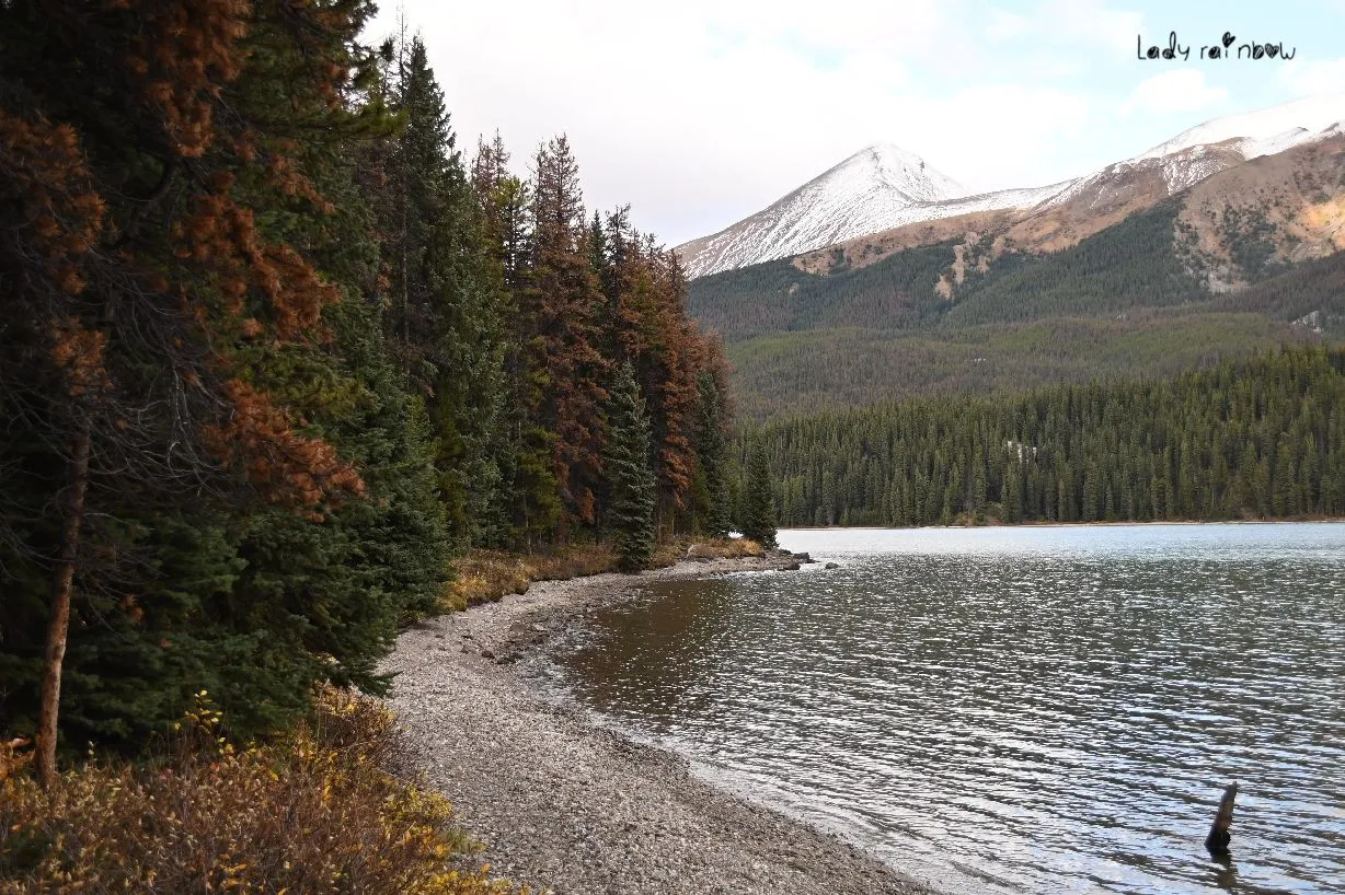 maligne lake (10).jpg