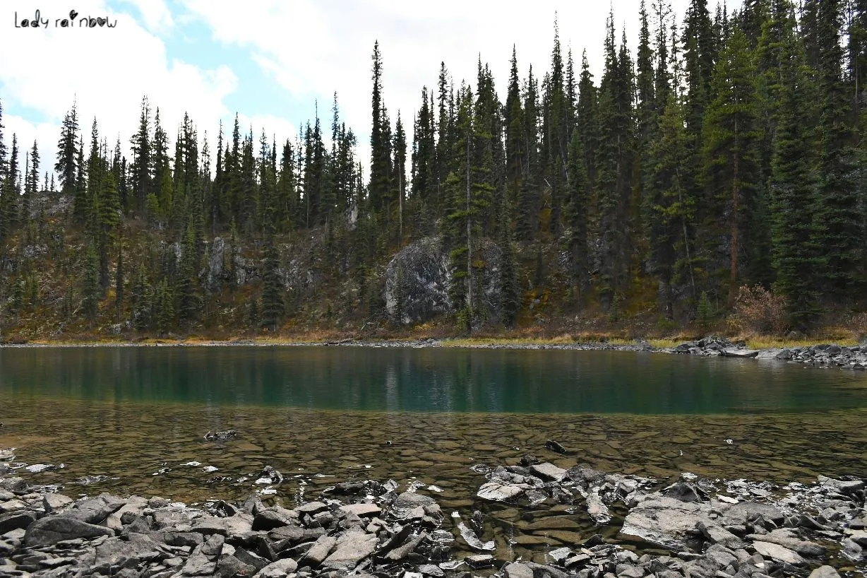 maligne lake (23).jpg