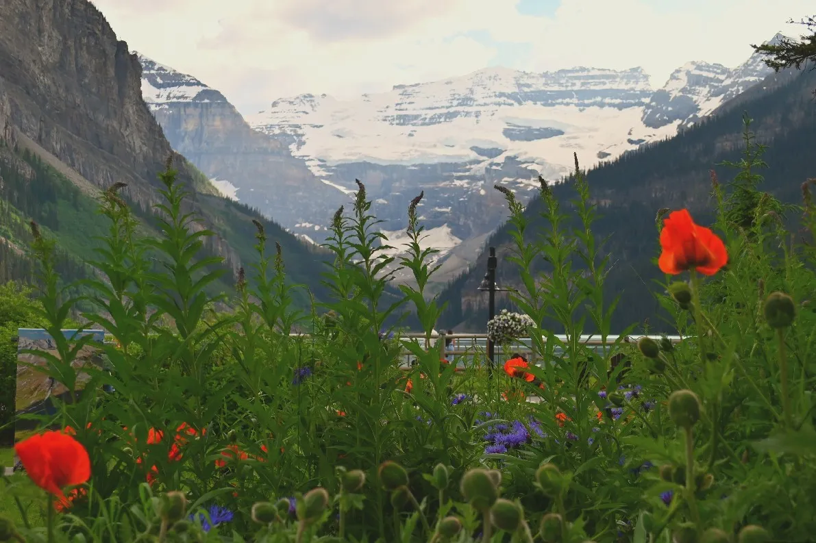 banff (22).jpg