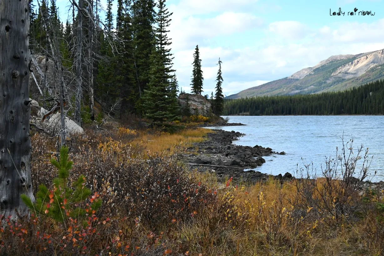 maligne lake (13).jpg