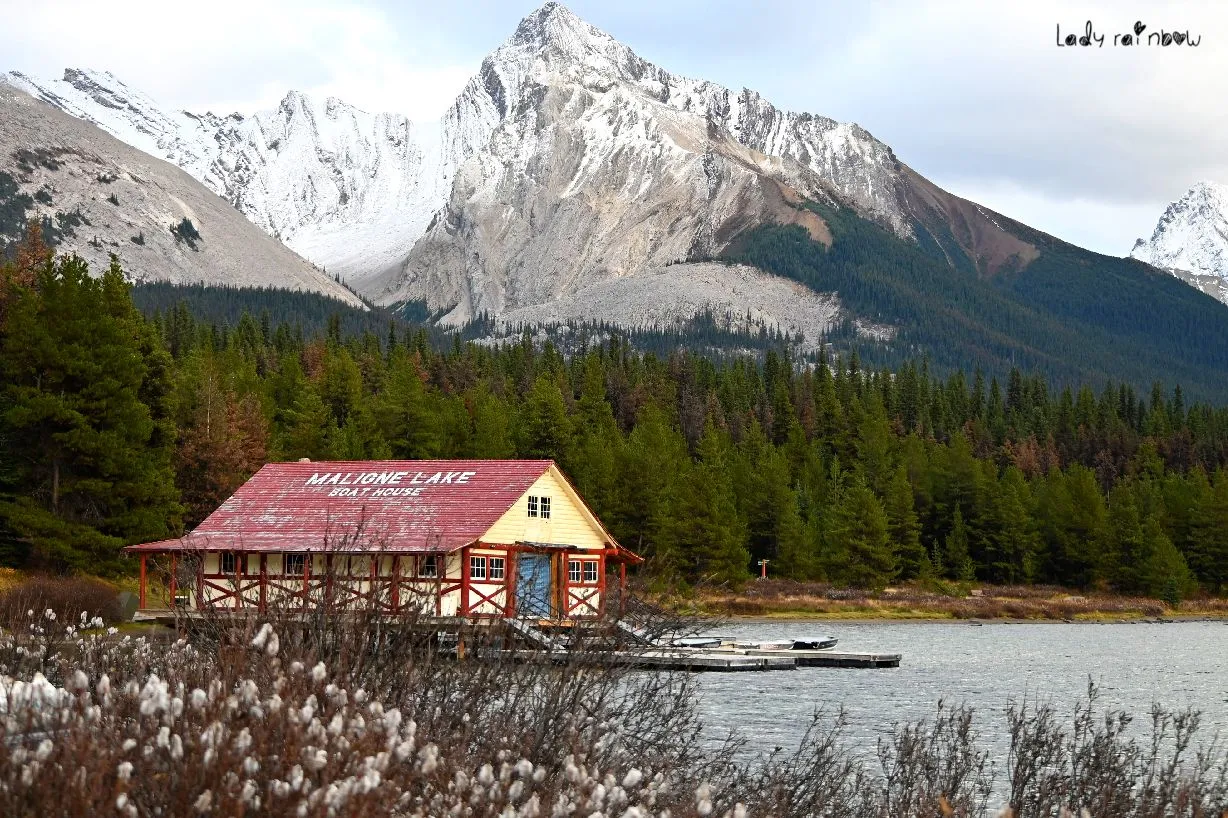 maligne lake (1).jpg