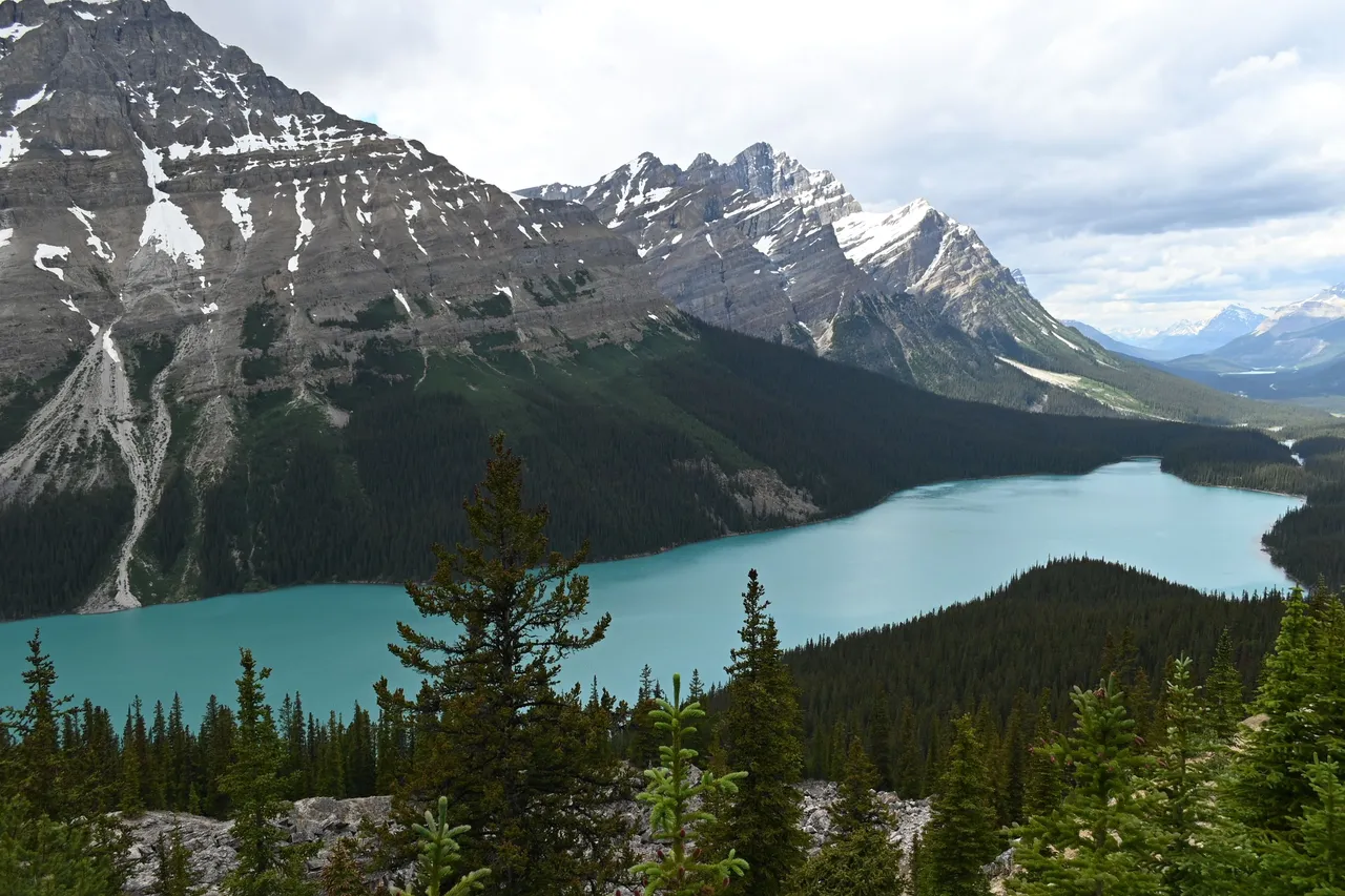 DSC_7383.JPG