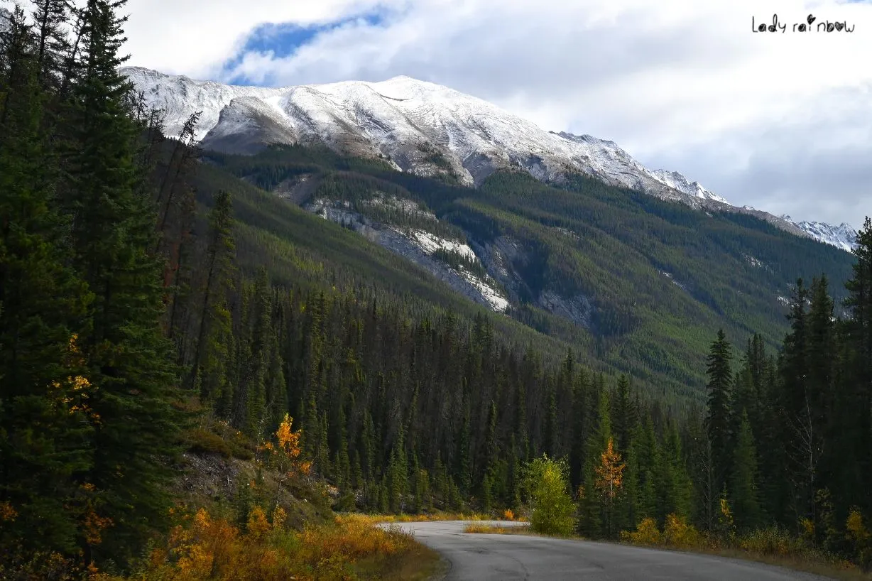 malugne lake road.jpg