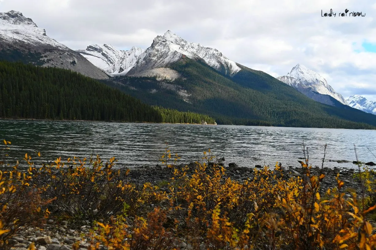 maligne lake (41).jpg