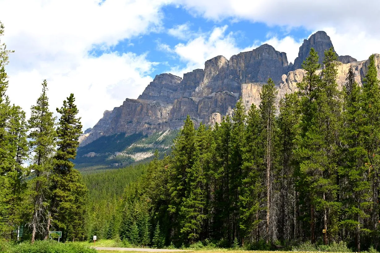 castle mountain (2)1.jpg