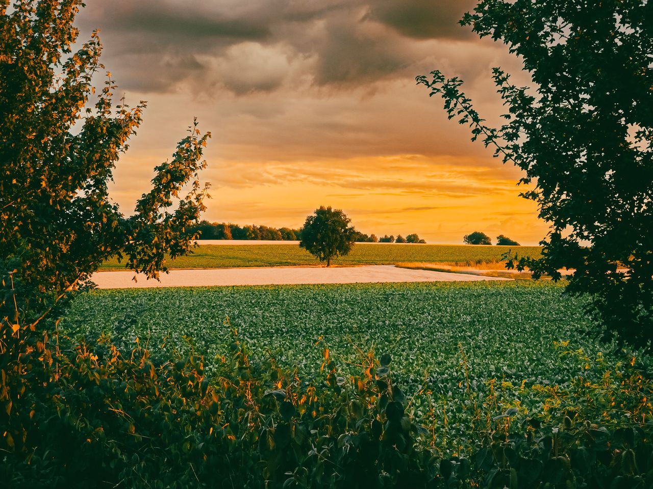20250708_204525.jpg