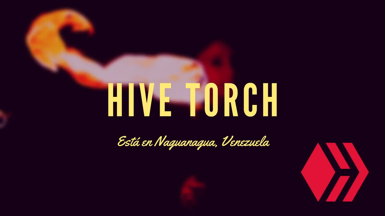 hive torch.png