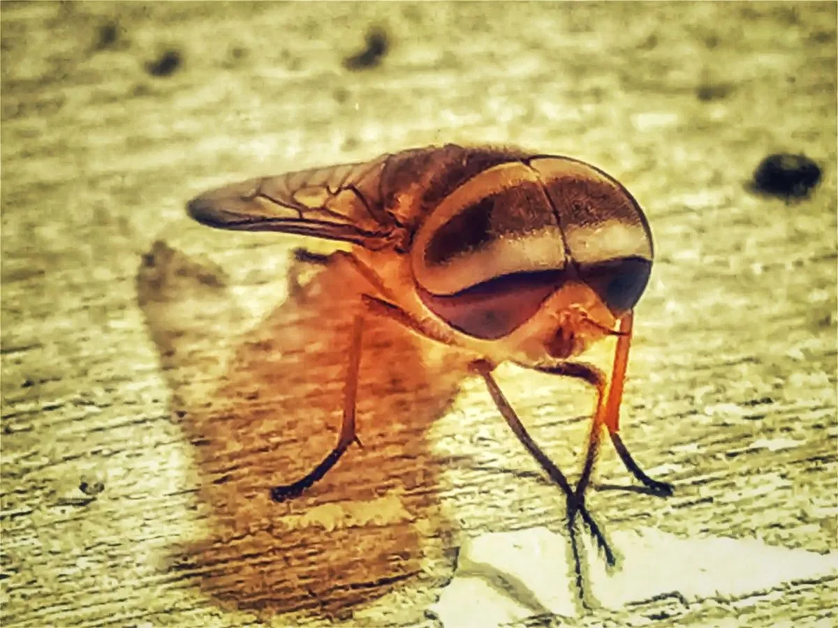 145709d096f93d9159e4e52bb228b396-01.jpeg