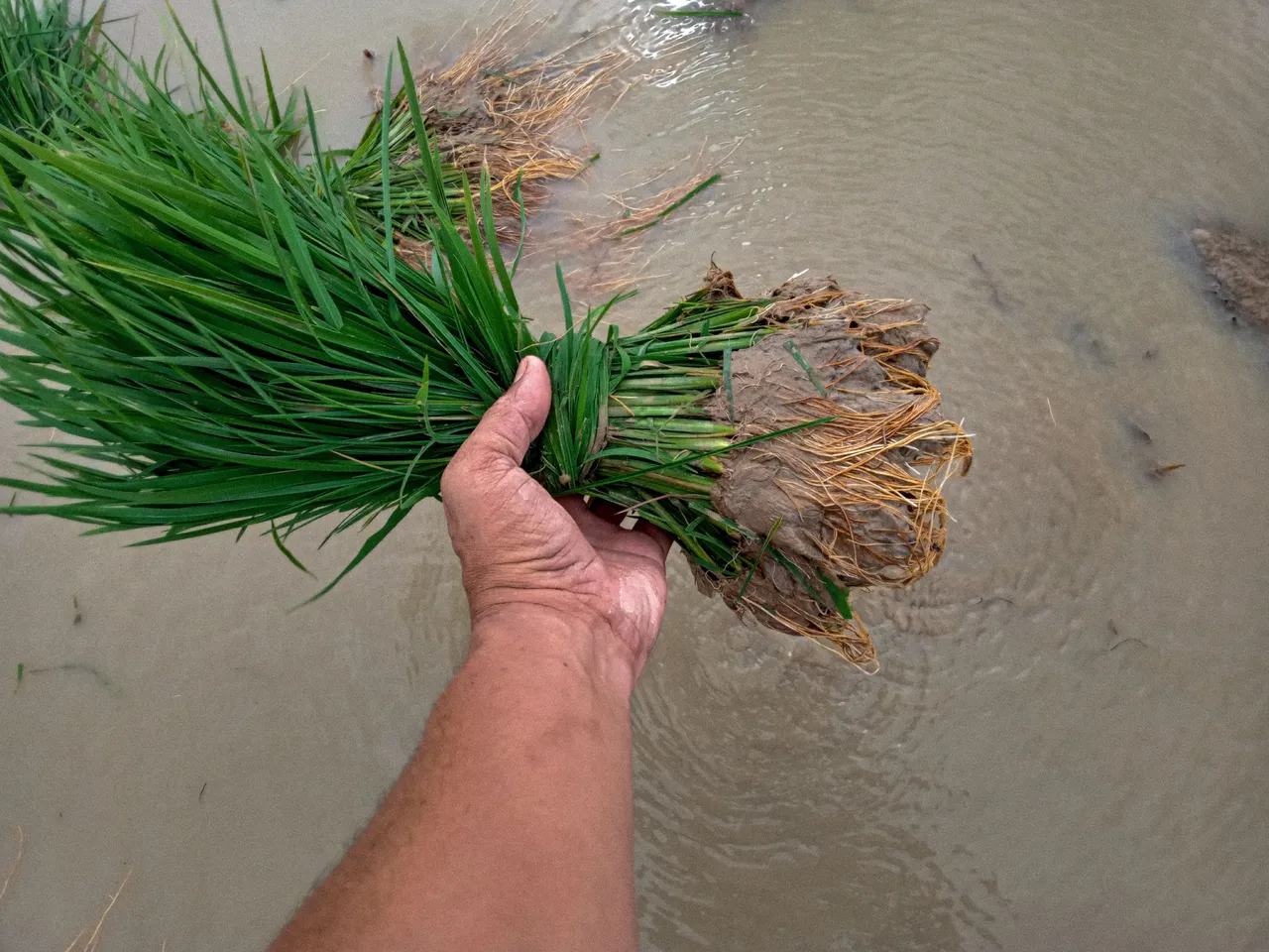 IMG20230130153351.jpg