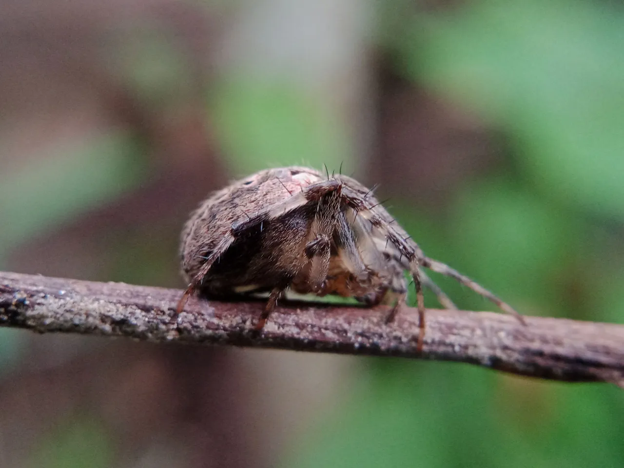 IMG20220122165441.jpg