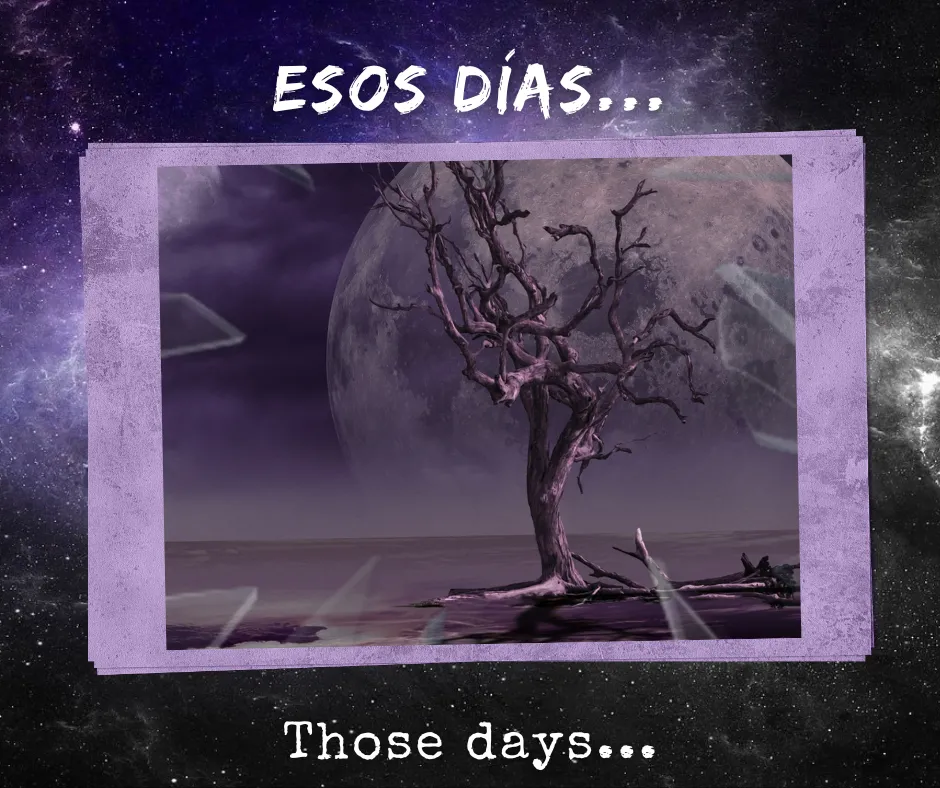51_20221211_185734_0001.png