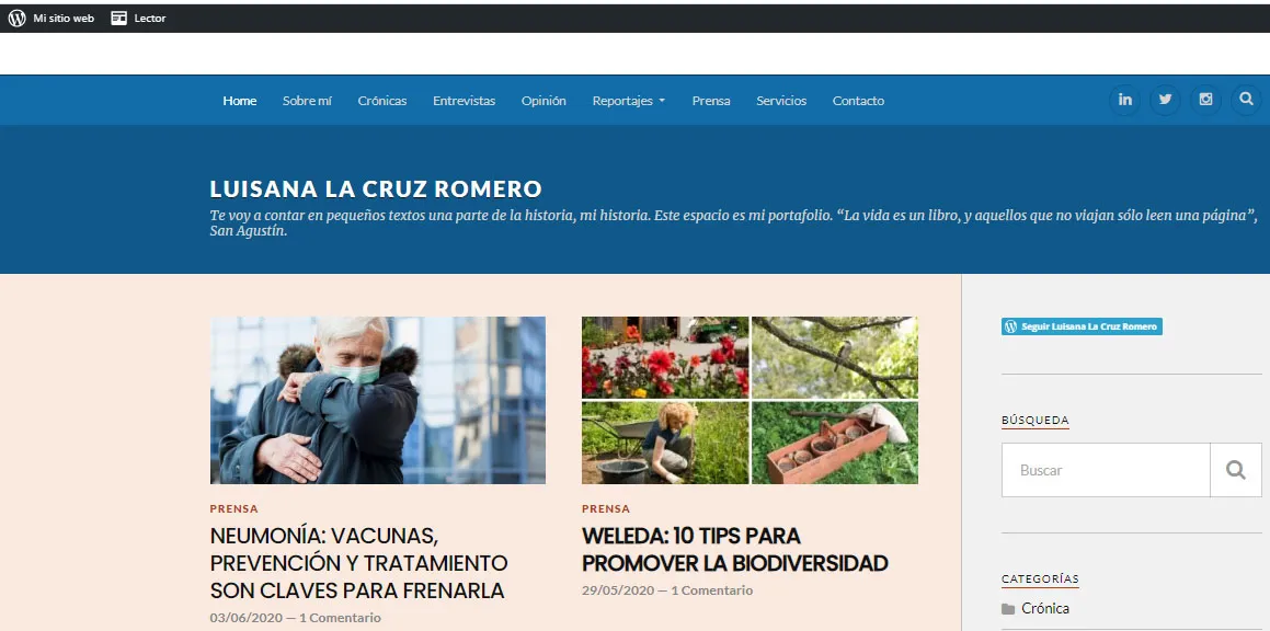 banner blog luisacarola.jpg