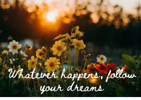 Whatever happens, follow your dreams.png