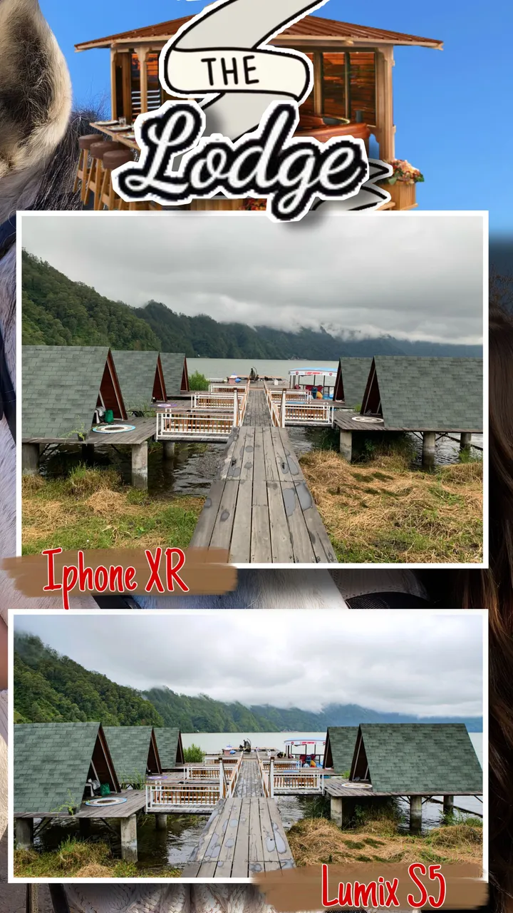 C03832B3-C02C-42DF-BD56-23DEB1CE049F.JPEG