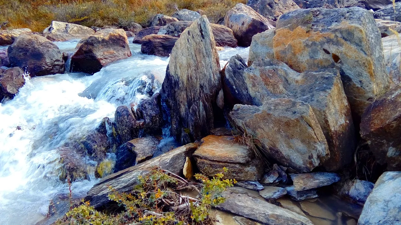 20180322_120249.jpg