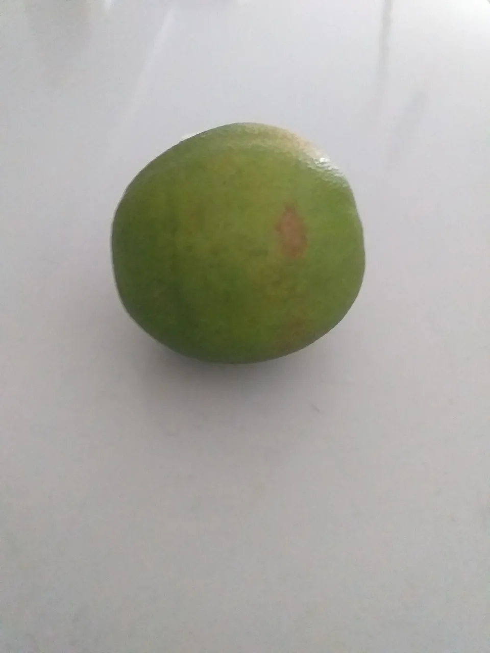 20230415_161023.jpg