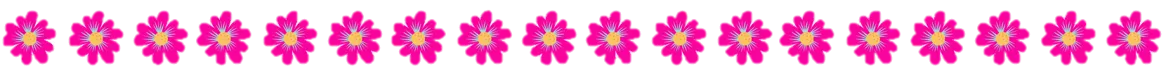 floresrosa.png