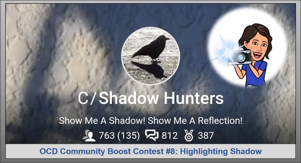 BannerShadowHunters.png