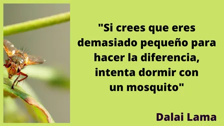 Mosquito Dalai Lama español.png