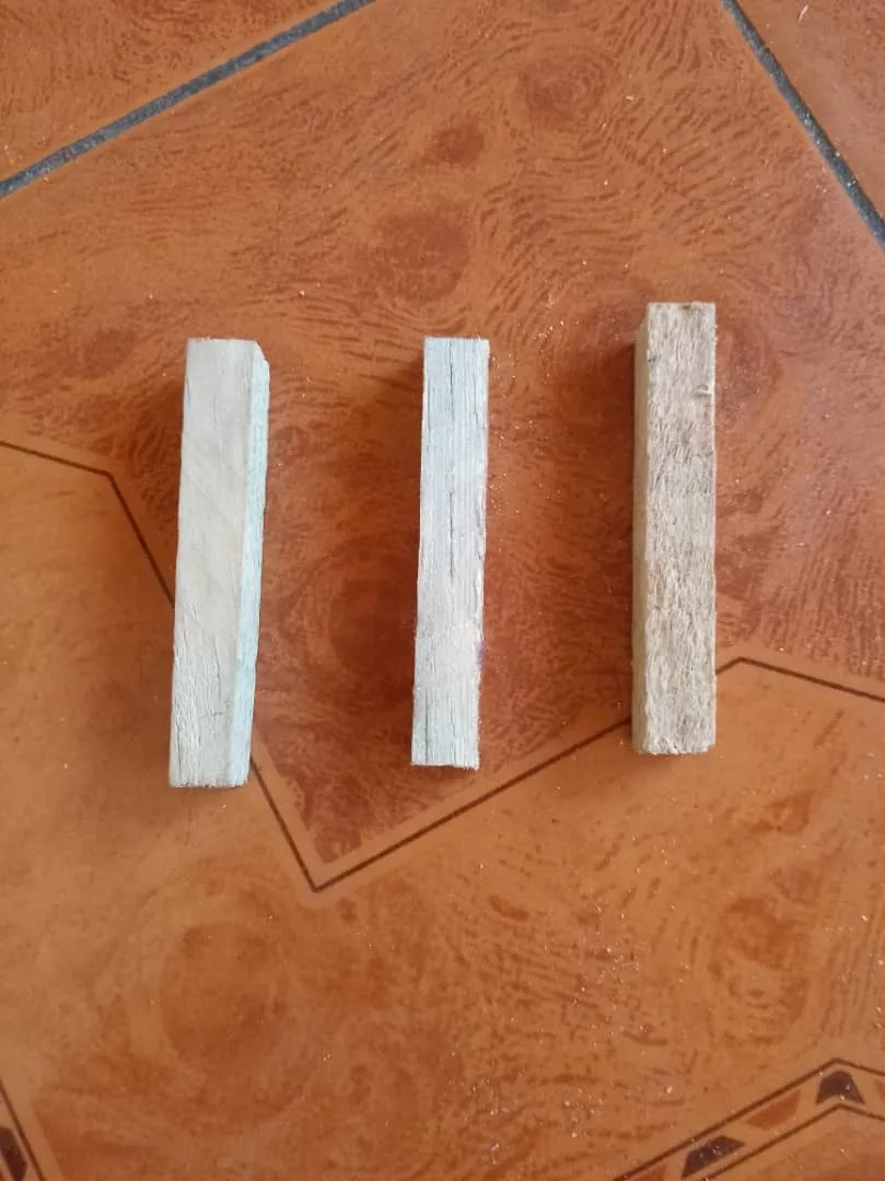 1000754203.jpg
