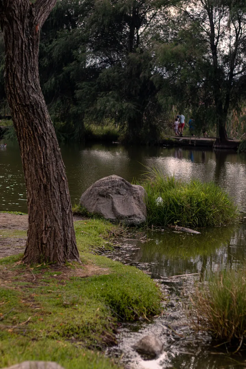 parque-6.jpg