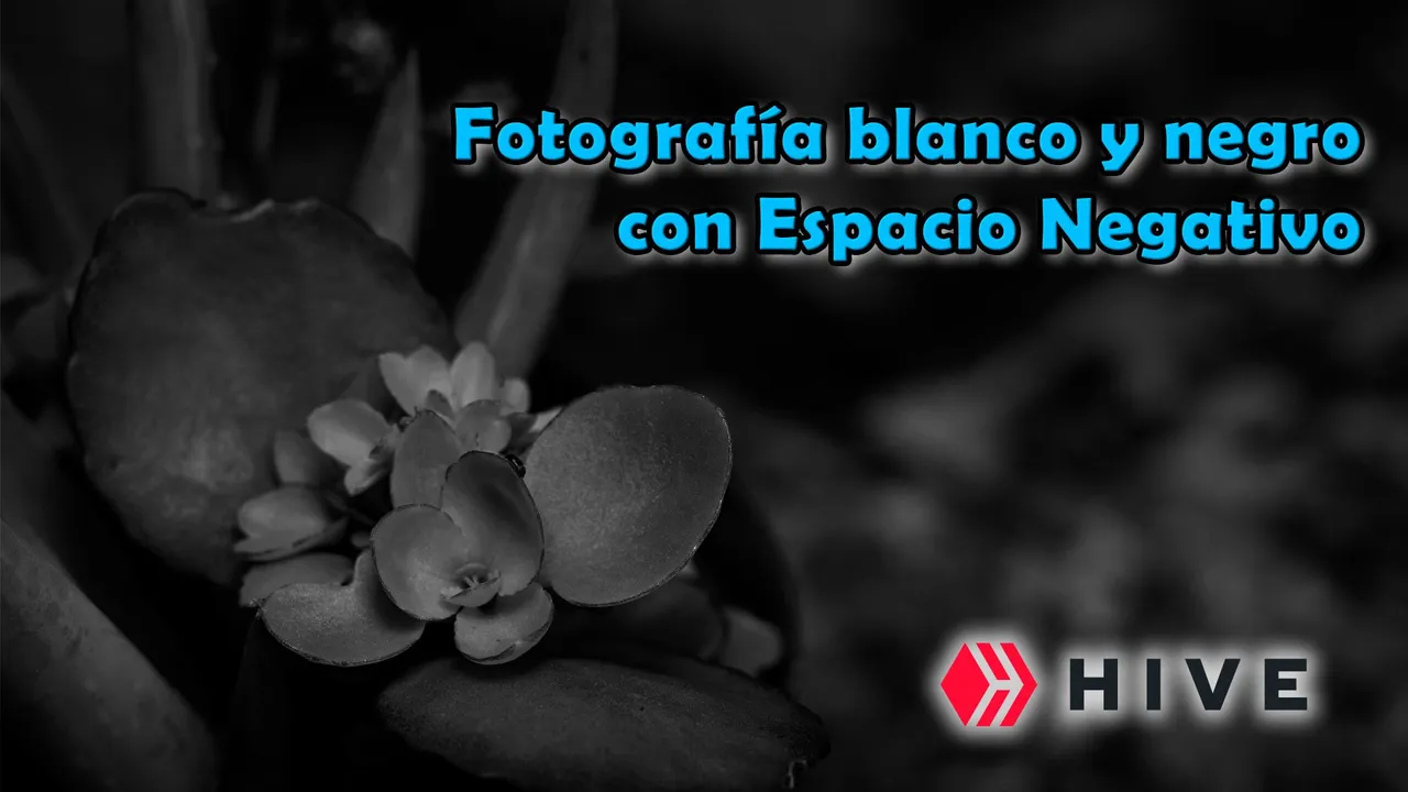 blanco y negro con espacio negativo.jpg