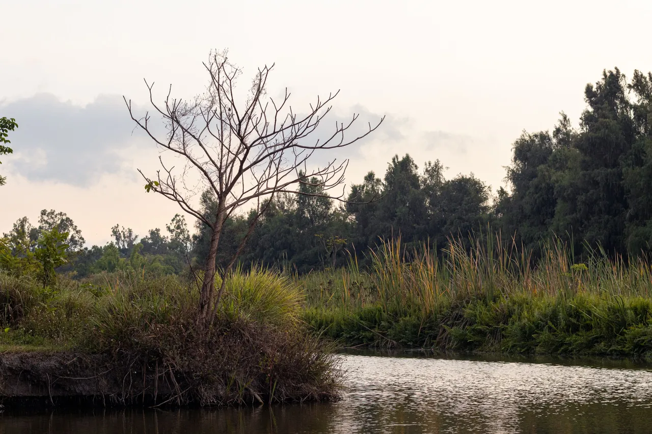 parque-3.jpg
