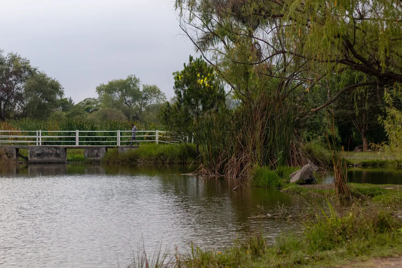 parque-8.jpg