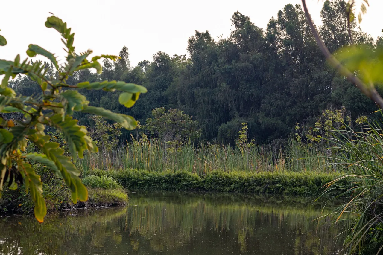 parque.jpg