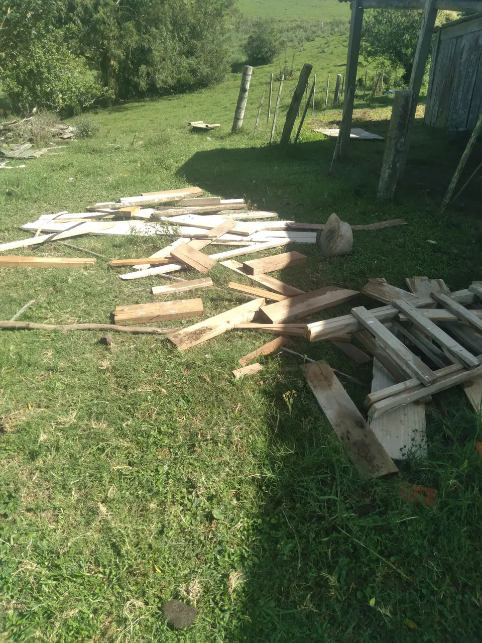 20230401_103829.jpg