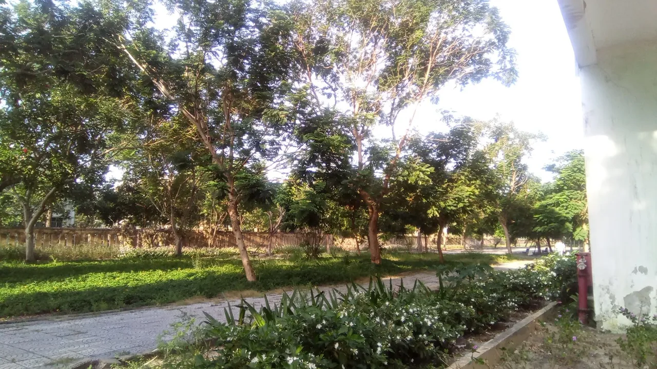 19 - Copy.jpg