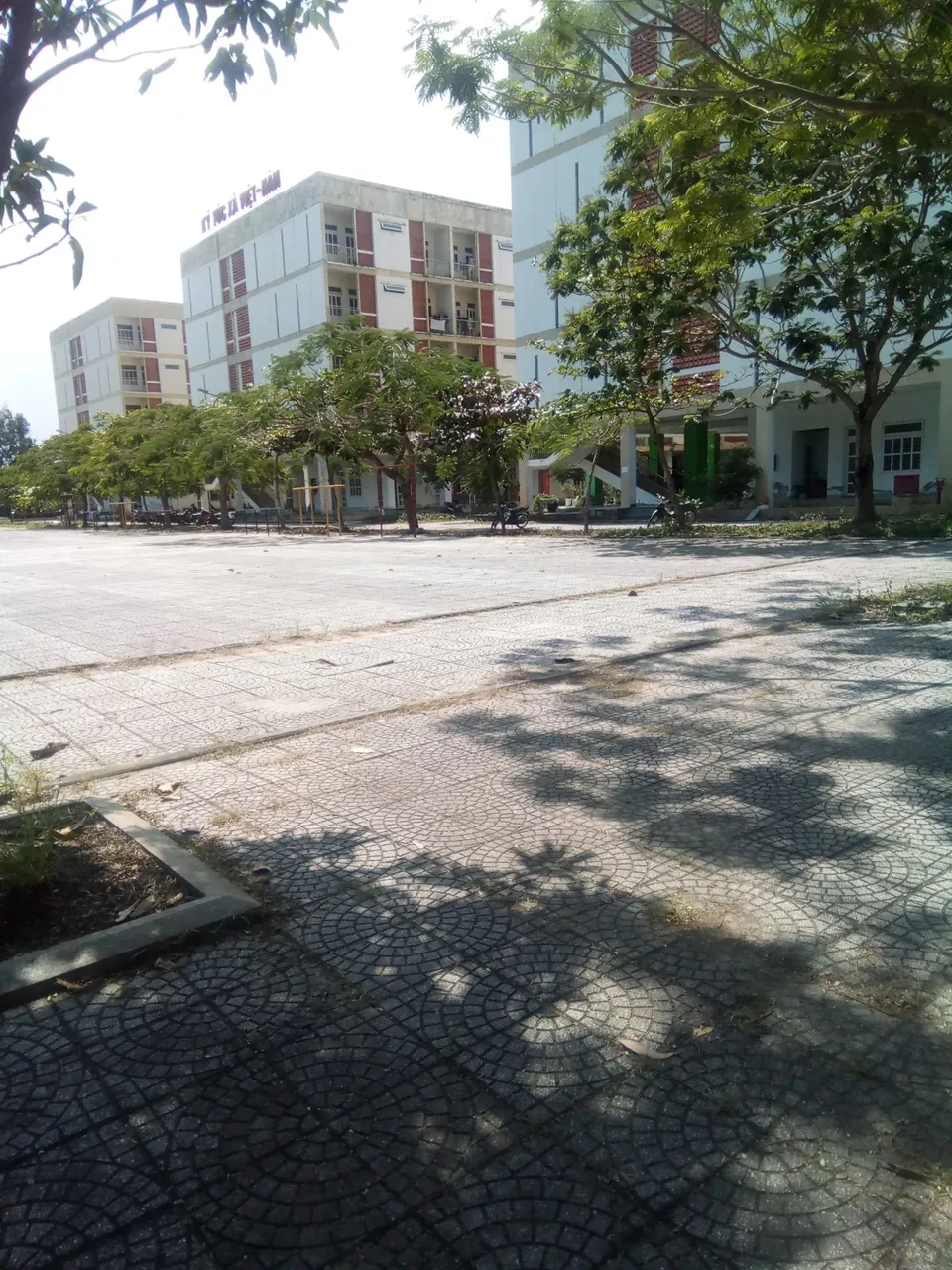 3 - Copy.jpg