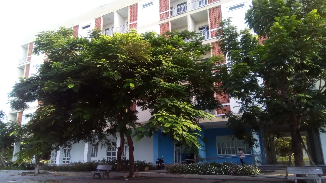 20 - Copy.jpg