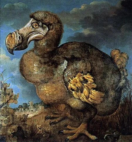 jan-savery-dodo-1d236d-small.jpg