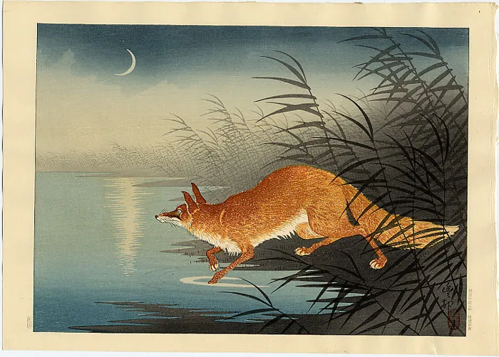 fox-in-the-reeds.jpg