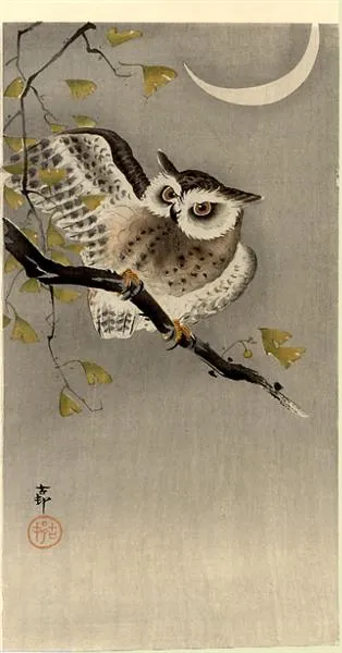 owl-on-ginkgo-branch-scops-owl-under-crescent-moon.jpg!Large.jpg