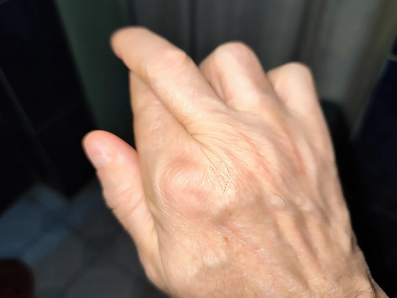 1000244154.jpg