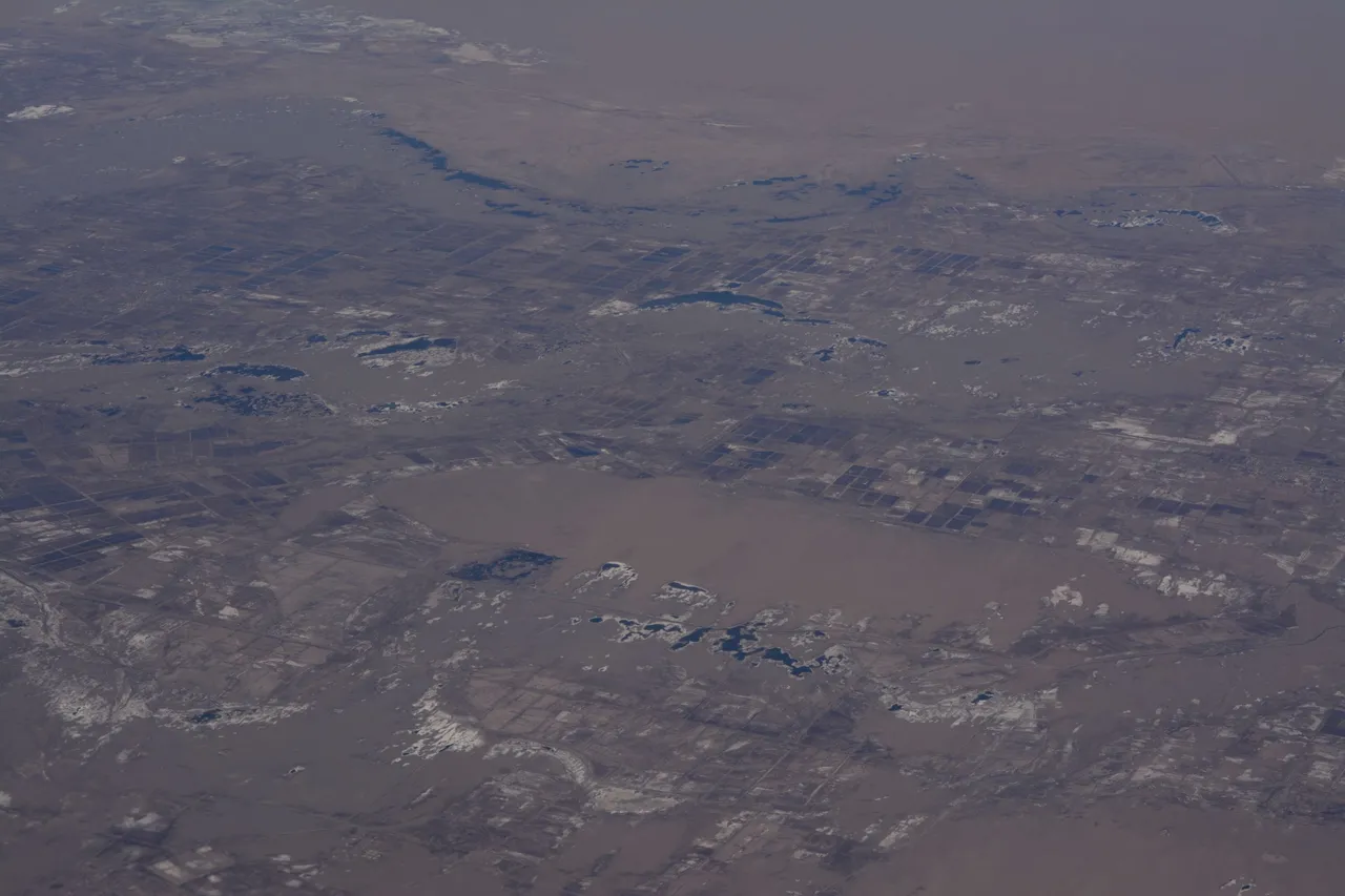 DSC_0101.JPG