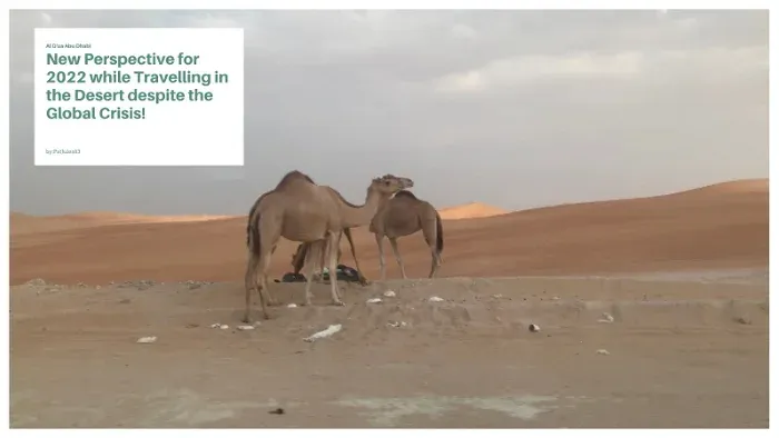 camels.webp