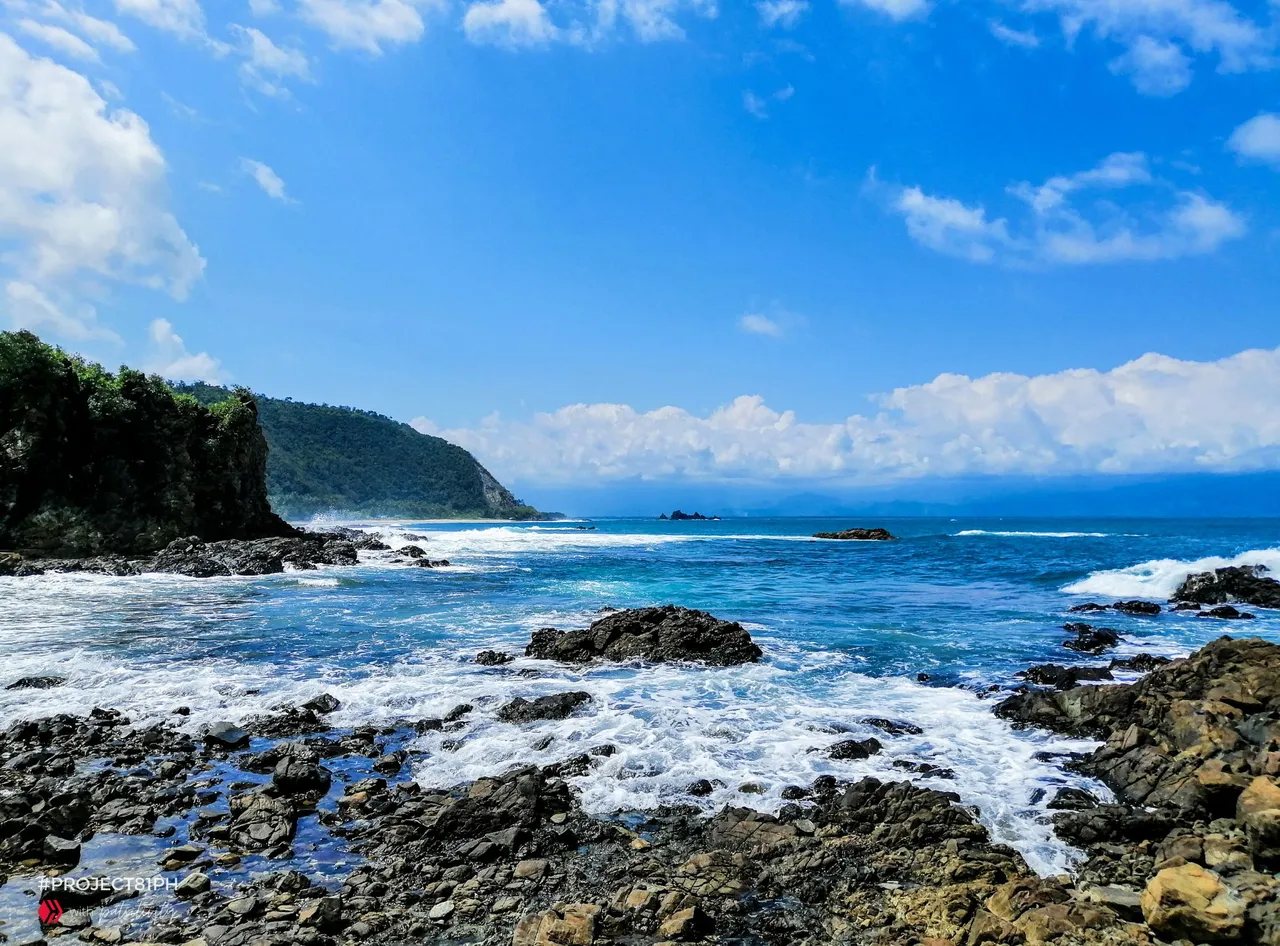 Hive_Baler_Cover Photos.png