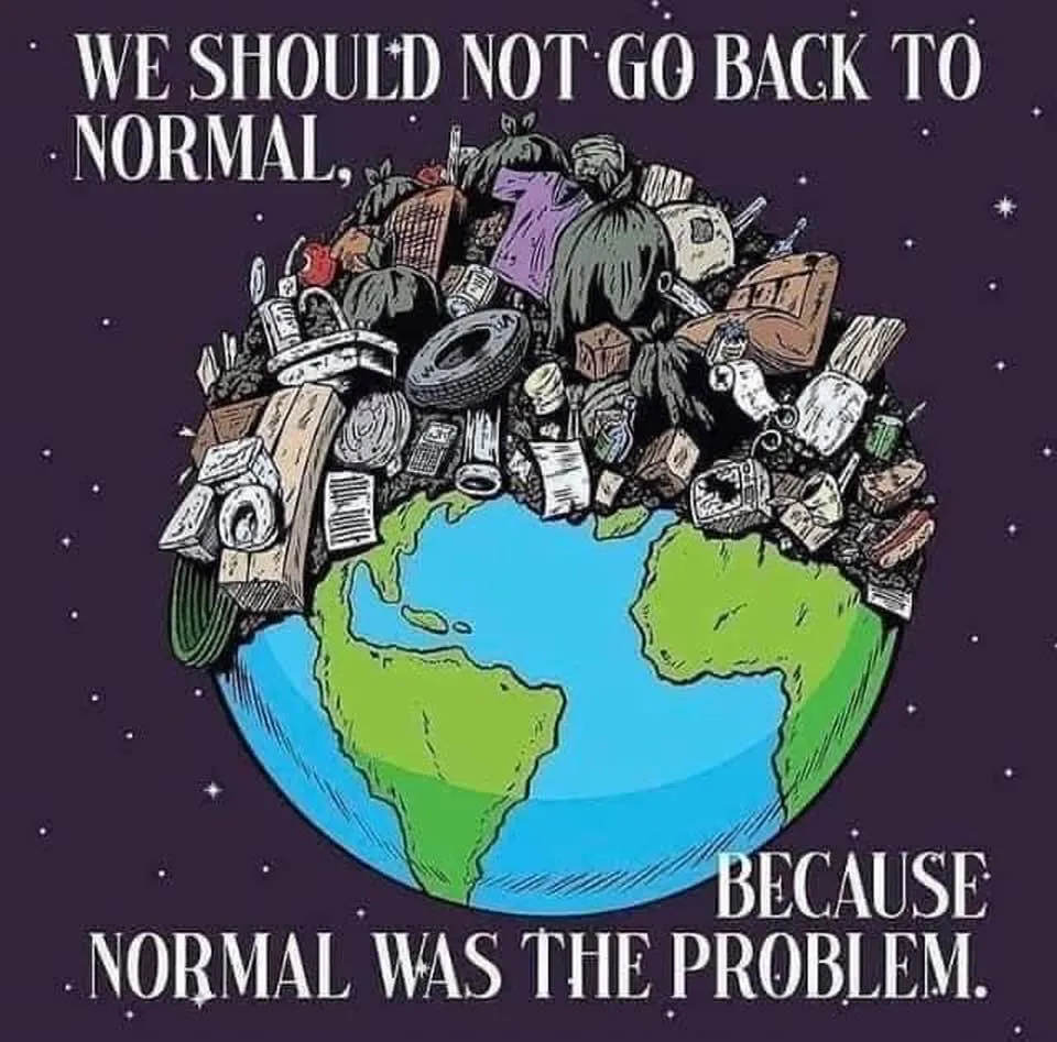 normal.jpg