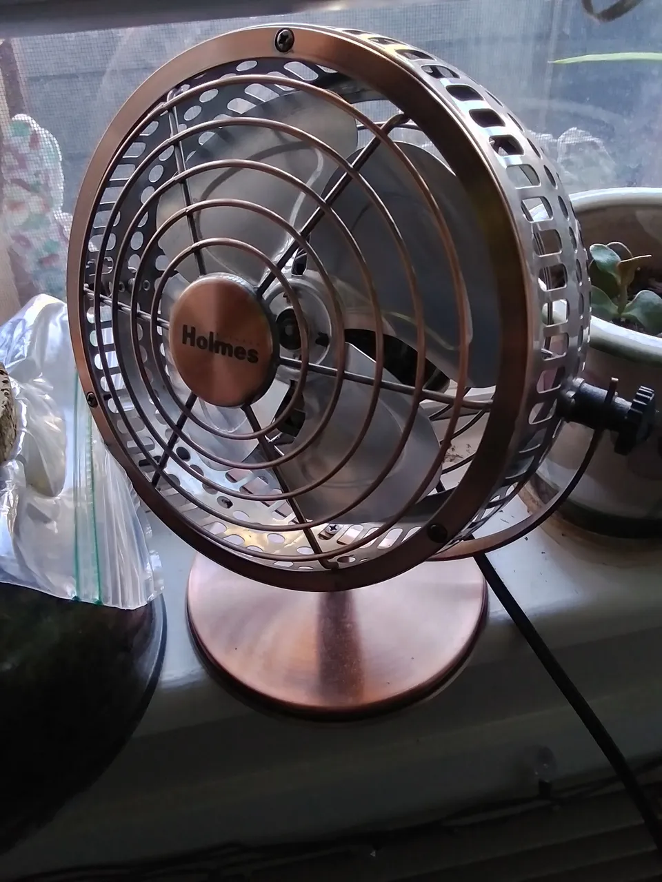 20220421_191946_HDR.jpg