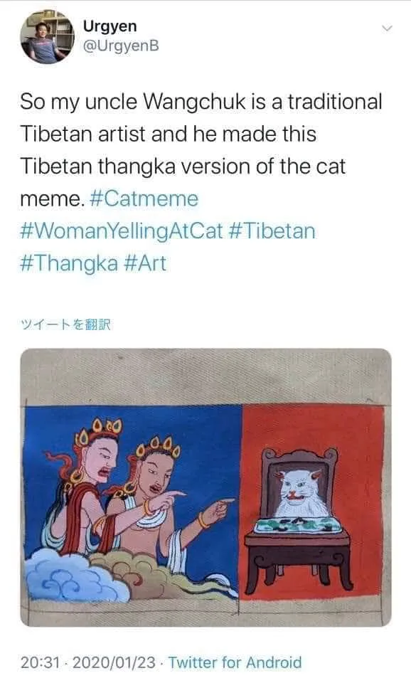 Tibetan cat.jpg