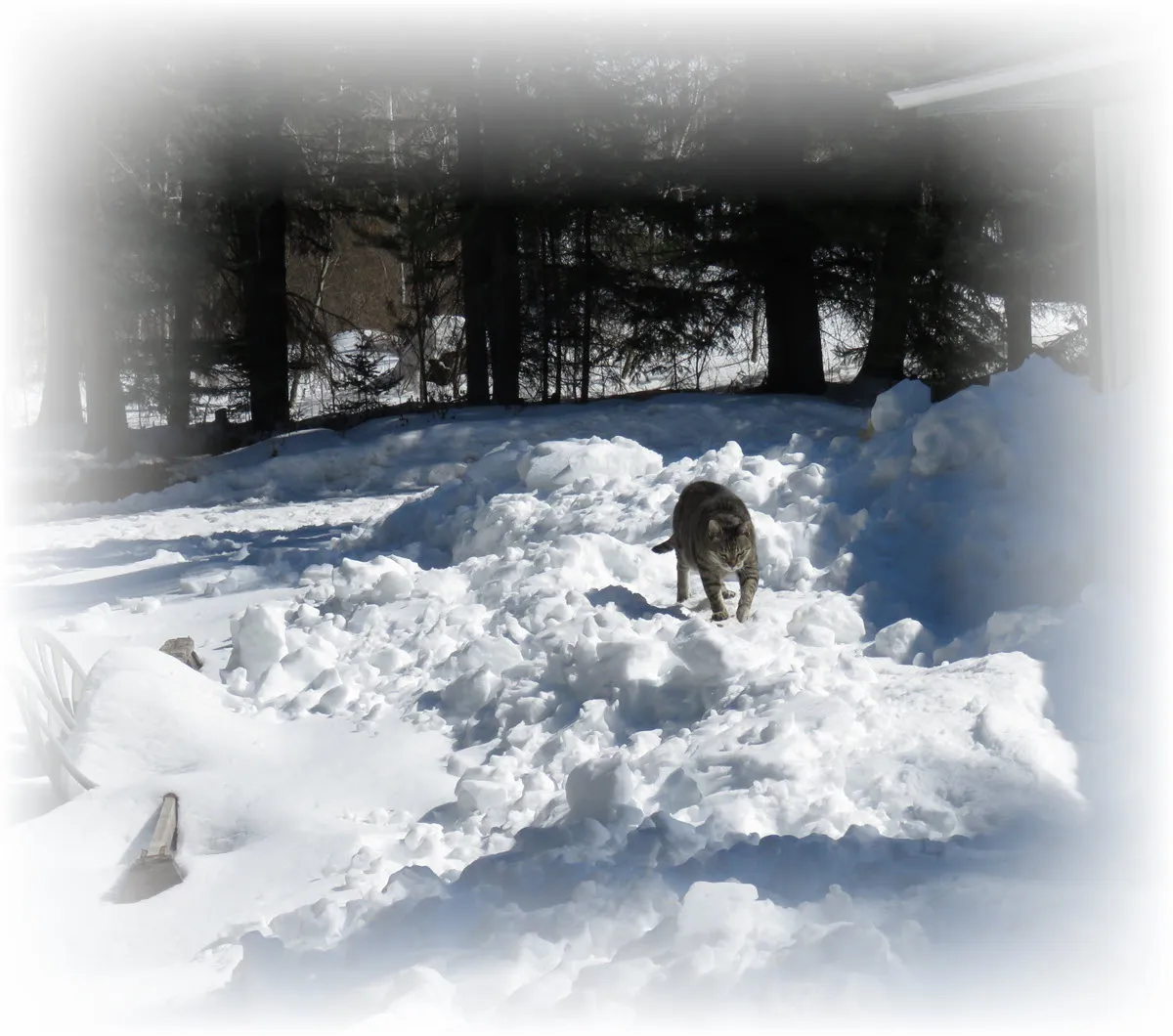 JJ walking over mound of snow from avalanche off garage.JPG