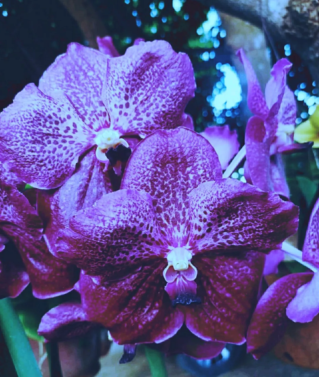 vM1pGHgNcyCXUWJECrZbvn1NMPj1oFGUo3gYfF3NNPRD9aDDCB7MHh8nsCLKVoQLCbJE7vBfJLA8i3nzTKHRBSeRc6Tj6fBC6bPPb1askD3n8y8BcZhtjtUnECrvXckRXmpH9XC__01__01.jpg