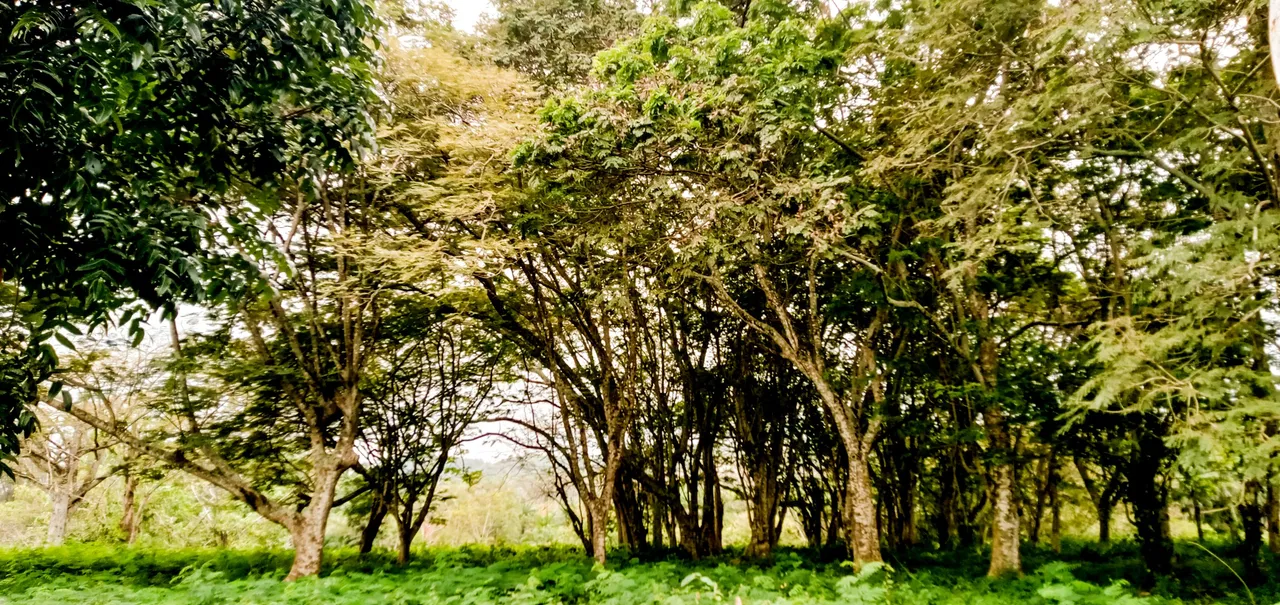 IMG20220117165630a.jpg