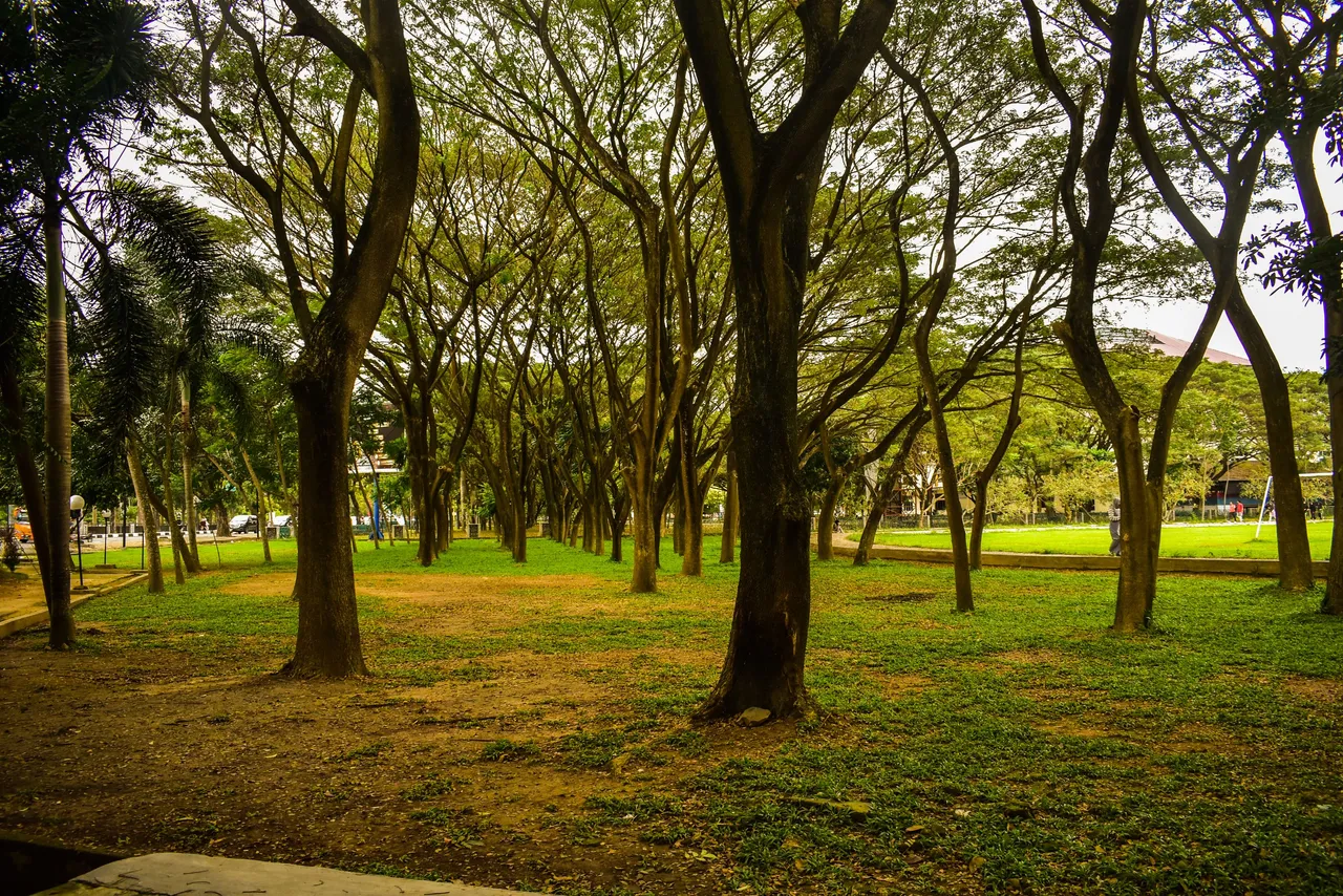 DSC_0781a.jpg
