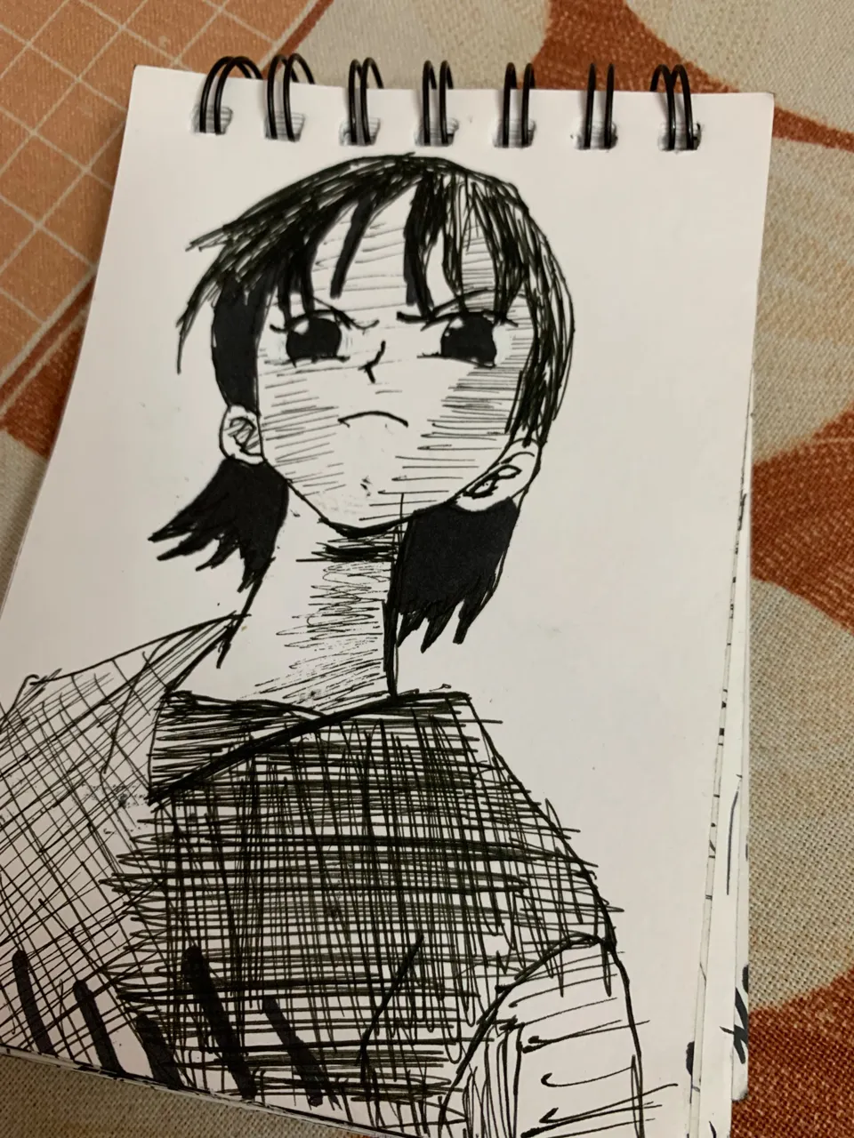 49558F95-D62F-4DF2-BE37-E1ECD2E65CF6.jpeg