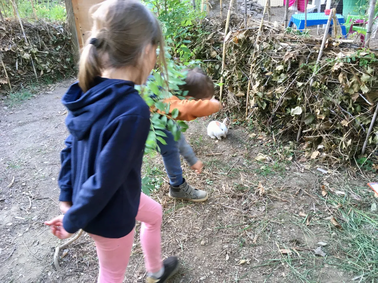 IMG_2395.jpeg