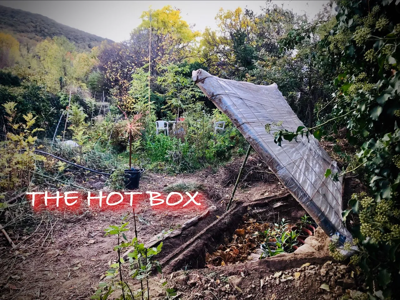 the hot box.jpeg